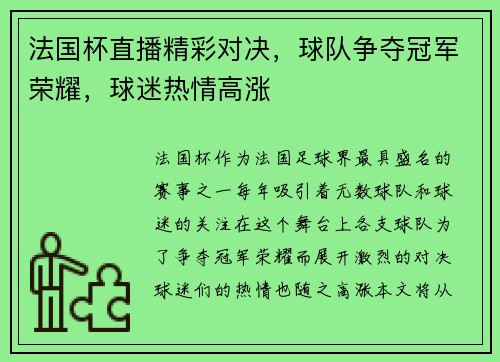 法国杯直播精彩对决，球队争夺冠军荣耀，球迷热情高涨